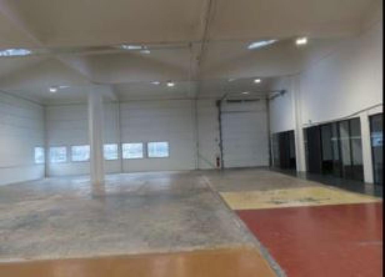 Local d'activité Villeneuve-d'Ascq 2339m² Location local d'activité Villeneuve-d'Ascq Nord OLACT2428282 3
